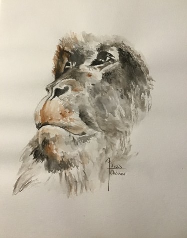 Pintura intitulada "Macaque du japon" por Anaïs Ghaisar, Obras de arte originais, Aquarela