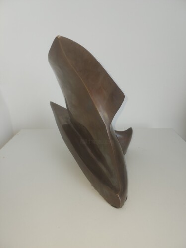 Escultura titulada "Veleiro ao vento" por Anamaria Vieira, Obra de arte original, Bronce