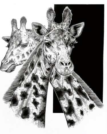 Dessin intitulée "Girafes" par Ânanda, Œuvre d'art originale, Encre