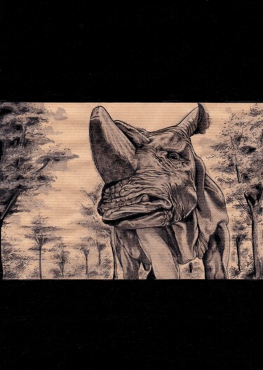 Dessin intitulée "Rhinocéros" par Ânanda, Œuvre d'art originale, Encre