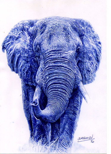 Dessin intitulée "Éléphant 2" par Ananou, Œuvre d'art originale, Stylo à bille