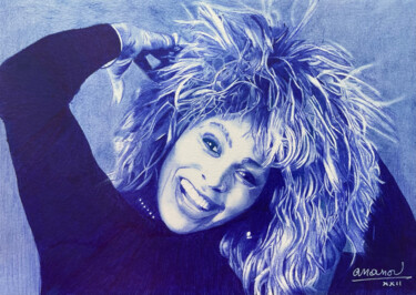 Dessin intitulée "Tina Turner" par Ananou, Œuvre d'art originale, Stylo à bille