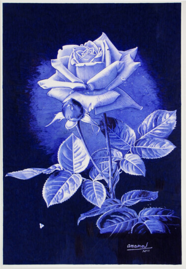 Dibujo titulada "Rose" por Ananou, Obra de arte original, Bolígrafo