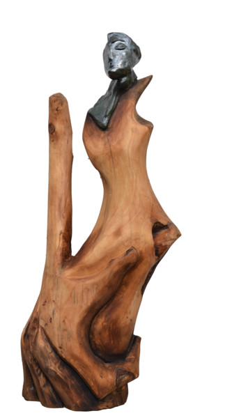 Sculpture titled "Discovery" by Ana Paula Luna, Original Artwork, Wood