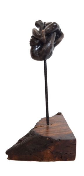 Скульптура под названием "Tangeled" - Ana Paula Luna, Подлинное произведение искусства, Керамика
