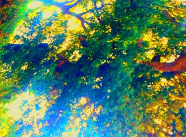 Photographie intitulée "Magique Forêt Vert" par Anaquarelle, Œuvre d'art originale, Photographie manipulée