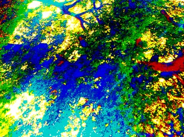 Photographie intitulée "Magique Forêt Coule…" par Anaquarelle, Œuvre d'art originale, Photographie manipulée