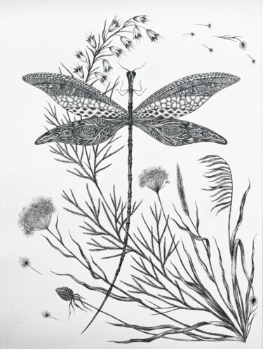 Dessin intitulée "The Dragonfly" par Anastasia Cherezova, Œuvre d'art originale, Encre