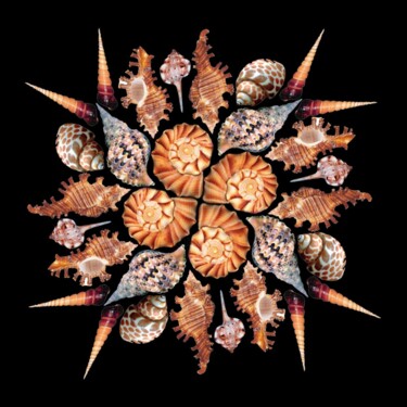Digital Arts titled "Shell mandala" by Anastasia Gogol, Original Artwork, Photo Montage