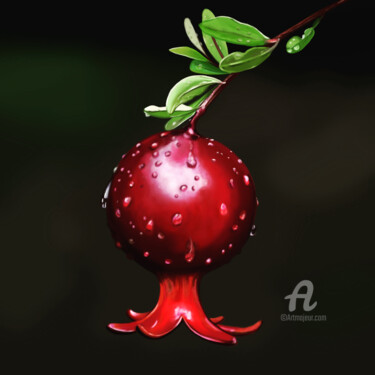 Digital Arts titled "Pomegranate" by Anastasia Gurjewa, Original Artwork, Digital Painting