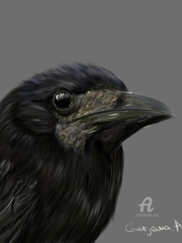 Arts numériques intitulée "Black bird" par Anastasia Gurjewa, Œuvre d'art originale, Peinture numérique