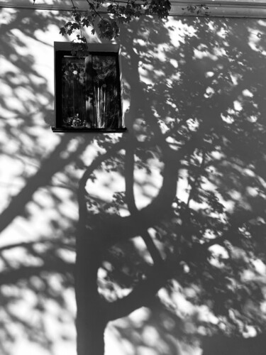 Shadow painting Photography titled "Shadow painting" by Анастасия Ломаева, Original Art, Digital Photography