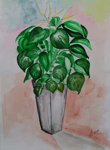 Painting titled "PEPEROMIA POLYBOTRY…" by Anastasia_art, Original Artwork, Watercolor