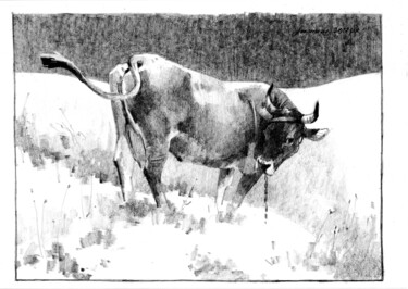 Drawing titled "Cow" by Anastasia Yarosevitch, Original Artwork, Pencil