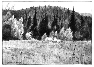 Рисунок под названием "Лесной пейзаж" - Анастасия Ярошевич, Подлинное произведение искусства, Карандаш