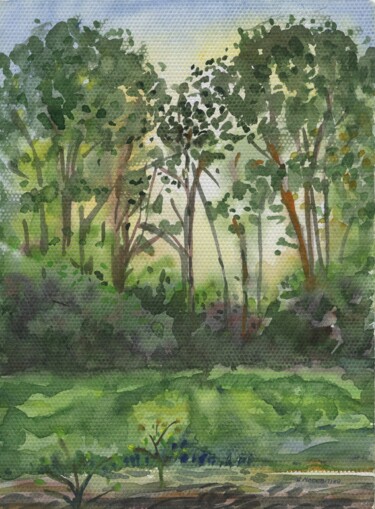 Malerei mit dem Titel "“Forest Strip. Vill…" von Anastasiia Moskvitina, Original-Kunstwerk, Aquarell