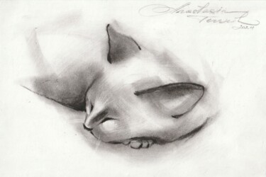 Malerei mit dem Titel "SLEEPING CAT" von Anastasija Terskiha, Original-Kunstwerk, Kohle