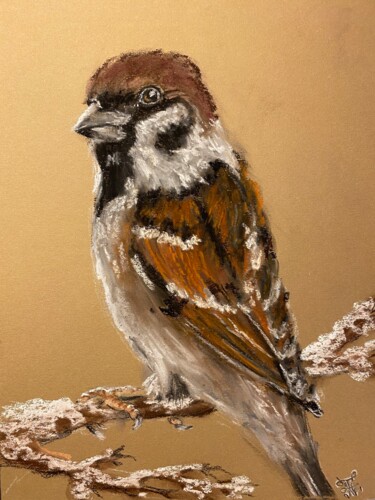 Pintura intitulada "Sparrow Painting Bi…" por Anastasiya Posylaeva, Obras de arte originais, Pastel