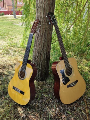 Photography titled "Guitars by a tree" by András Lamp, Original Artwork, Digital Photography
