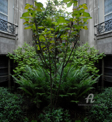 Photographie intitulée "Jardin d'ivry" par André Boulze, Œuvre d'art originale