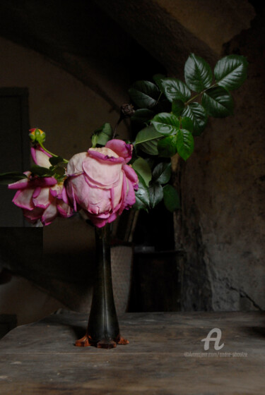 Photographie intitulée "Bouquet n° 2" par André Boulze, Œuvre d'art originale