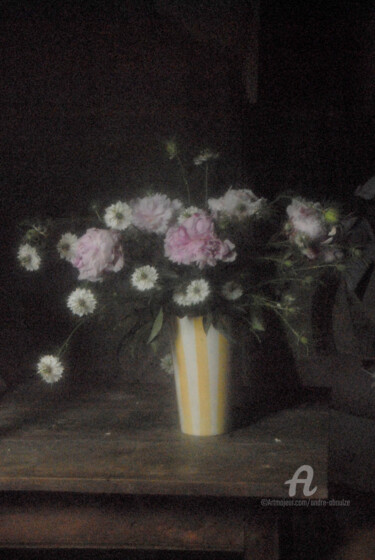Fotografie mit dem Titel "Bouquet n° 3" von André Boulze, Original-Kunstwerk