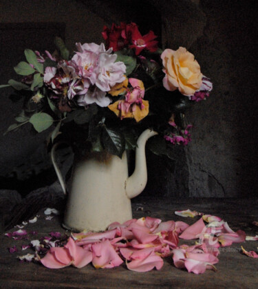 Fotografia intitolato "Bouquet n° 5" da André Boulze, Opera d'arte originale