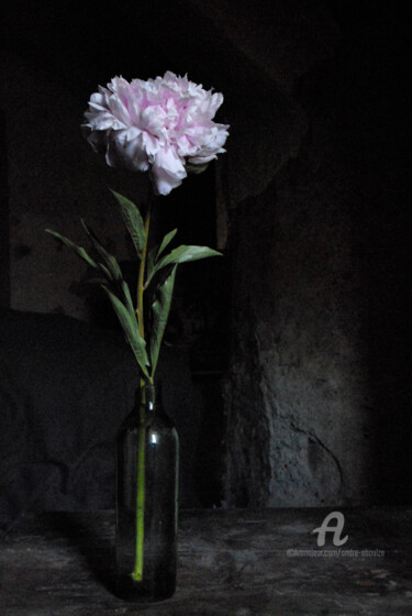 「Bouquet n° 8」というタイトルの写真撮影 André Boulzeによって, オリジナルのアートワーク