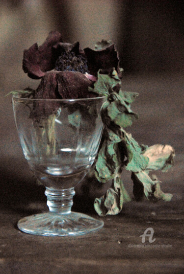 Φωτογραφία με τίτλο "Nature morte fleur…" από André Boulze, Αυθεντικά έργα τέχνης, Ψηφιακή φωτογραφία