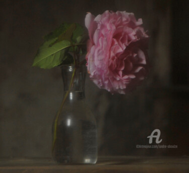 Photography titled "Bouquet n° 10" by André Boulze, Original Artwork