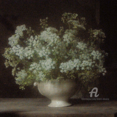 Fotografie getiteld "Bouquet n°11" door André Boulze, Origineel Kunstwerk