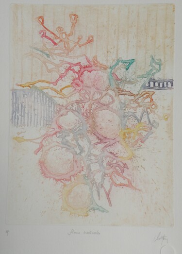 Gravures & estampes intitulée "Fleurs matinales" par André Colpin, Œuvre d'art originale, Eau-forte