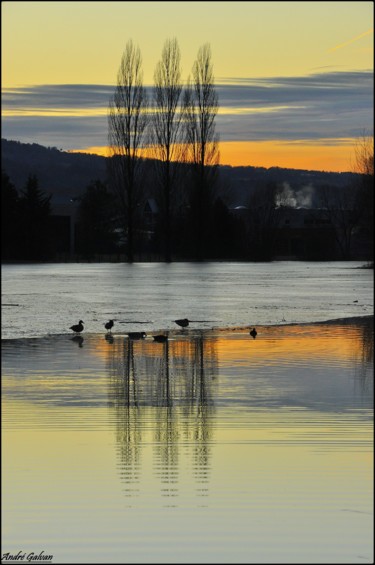 Photography titled "Les 3 peupliers" by André Galvan, Original Artwork