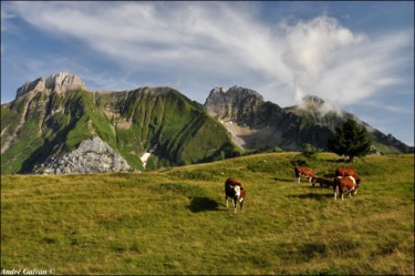 Photography titled "Plateau de Cenise /…" by André Galvan, Original Artwork