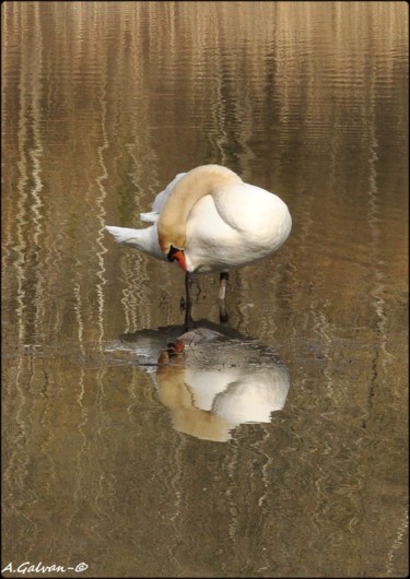 Photographie intitulée "Miroir mon beau mir…" par André Galvan, Œuvre d'art originale