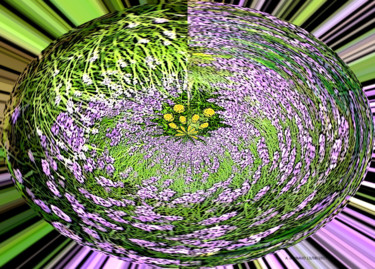 Digitale Kunst mit dem Titel "fleur-art-numerique…" von André Goinaud, Original-Kunstwerk