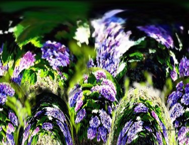 Digital Arts titled "hortensia.jpg" by André Goinaud, Original Artwork