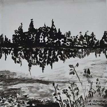 "lac de Passeligne NB" başlıklı Tablo André Goinaud tarafından, Orijinal sanat, Petrol Ahşap Sedye çerçevesi üzerine monte e…