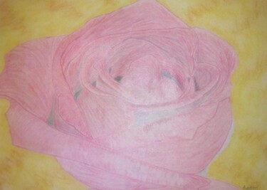 Drawing titled "Rose" by André Julien, Original Artwork, Pencil