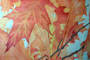 Dessin intitulée "feuille d automne" par Andre Rollet, Œuvre d'art originale, Crayon