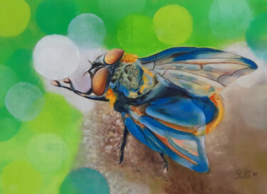 Tekening getiteld "mouche 1" door Andre Rollet, Origineel Kunstwerk, Pastel