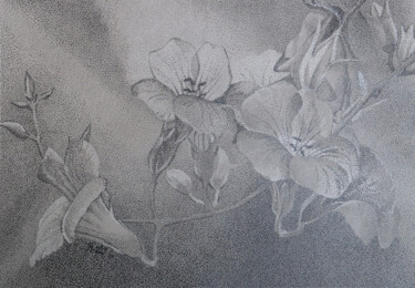 Рисунок под названием "fleurs" - Andre Rollet, Подлинное произведение искусства, Карандаш