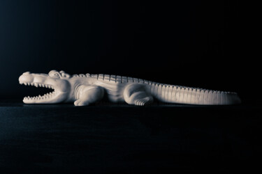 "Crocodile" başlıklı Heykel Andrea Gardini tarafından, Orijinal sanat, Taş