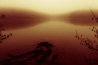 Photography titled "Stimmung am See" by Andrea Meister, Original Artwork, Digital Photography
