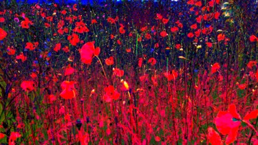 Фотография под названием "Flowers" - Andrea Meister, Подлинное произведение искусства, Цифровая фотография