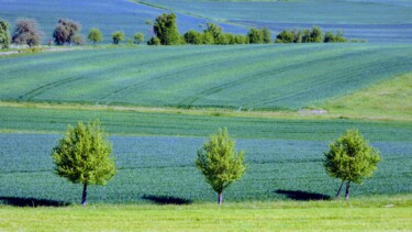 Fotografie mit dem Titel "Landschaft im Grünen" von Andrea Meister, Original-Kunstwerk, Digitale Fotografie