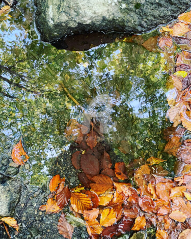 Photographie intitulée "Breathing Nature 20…" par Andrea Schiavetta, Œuvre d'art originale, Photographie numérique