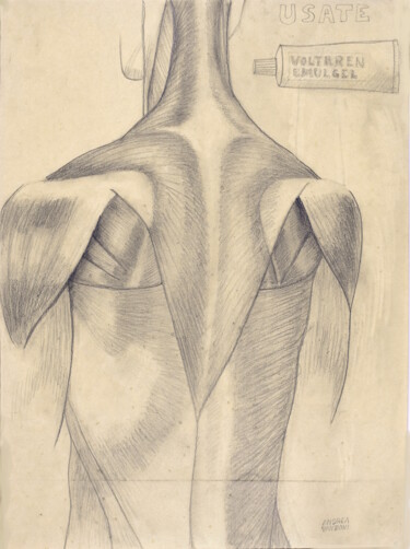 Drawing titled "MUSCLES" by Andrea Vandoni, Original Artwork, Graphite