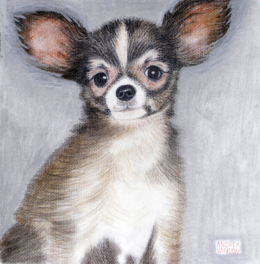 Painting titled "LITTLE FRIEND" by Andrea Vandoni, Original Artwork, Pastel Mounted on Cardboard