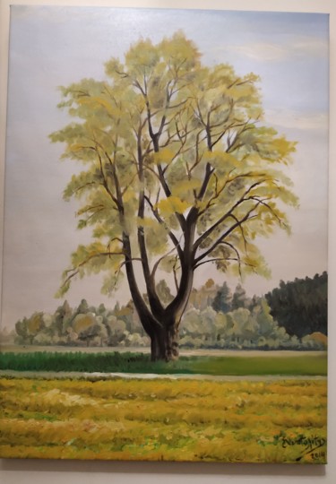 Painting titled "Δέντρο, suntree" by Andreas Anatolites, Original Artwork, Oil